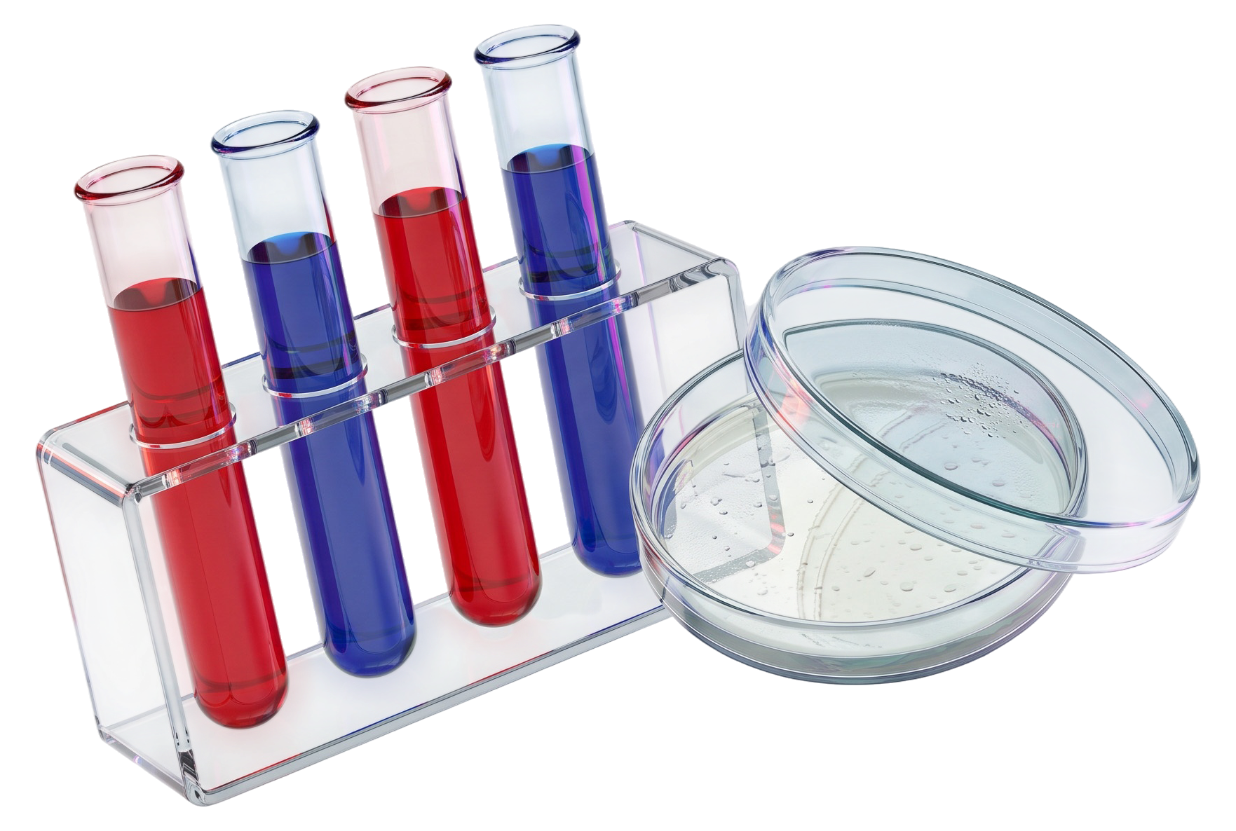 Provette e piastra di Petri da laboratorio